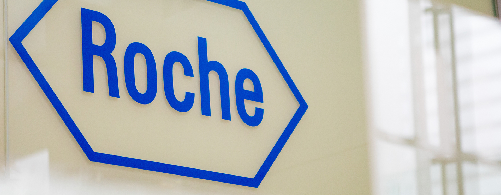 Roche Diabetes Care teams up with Boots to offer free access to mySugr Pro The Diabetes Times