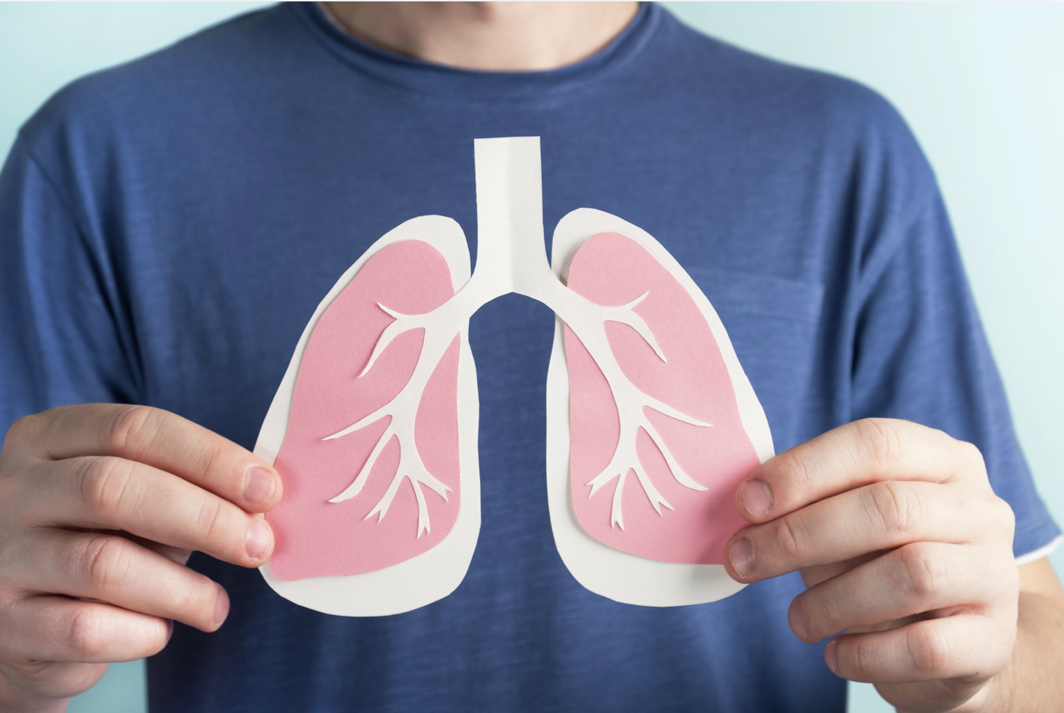 Study finds tuberculosis changes liver metabolism and could promote